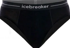 Icebreaker Anatomica Brief Mérinos^Homme Sous-Vêtements