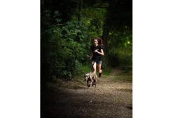 Djoring Harnais Djore Sport^ Canicross