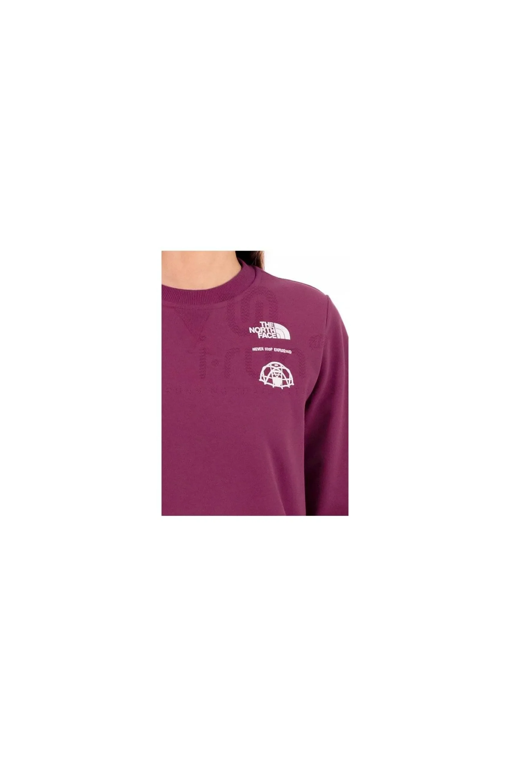 The North Face Outdoor Graphic femme^Femme Sportswear