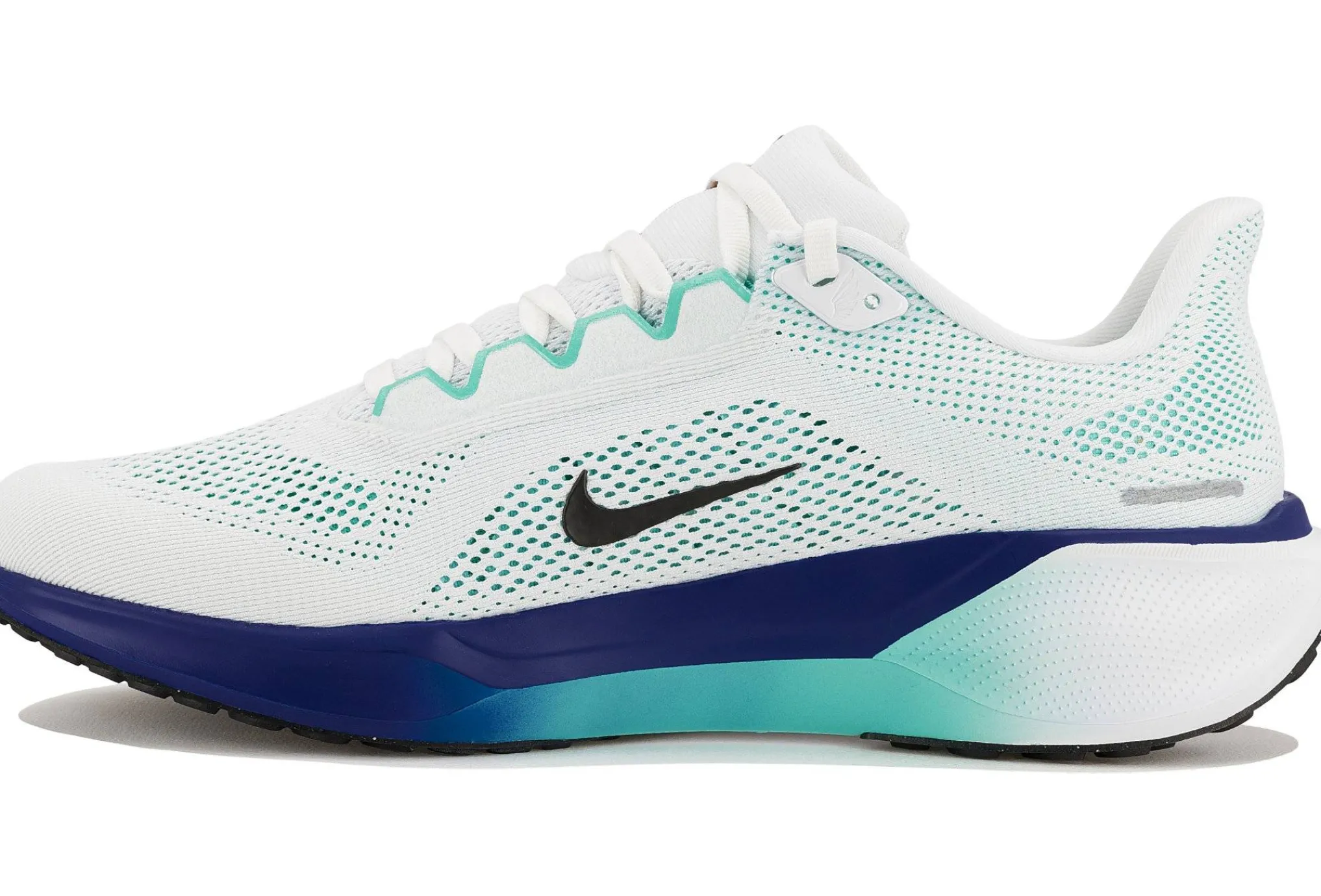 Nike Pegasus 41^Homme Running